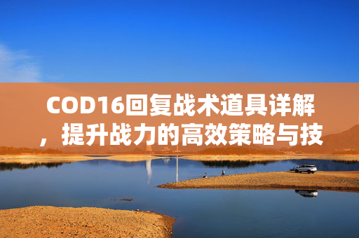 COD16回复战术道具详解，提升战力的高效策略与技巧解析