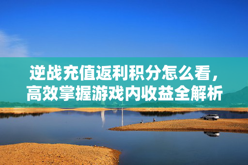 逆战充值返利积分怎么看，高效掌握游戏内收益全解析