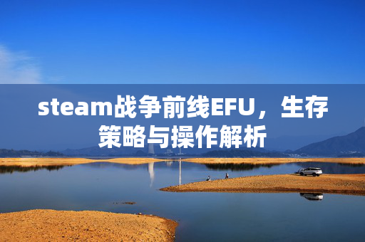 steam战争前线EFU，生存策略与操作解析