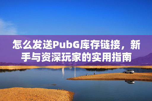 怎么发送PubG库存链接，新手与资深玩家的实用指南