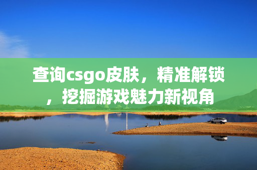 查询csgo皮肤，精准解锁，挖掘游戏魅力新视角