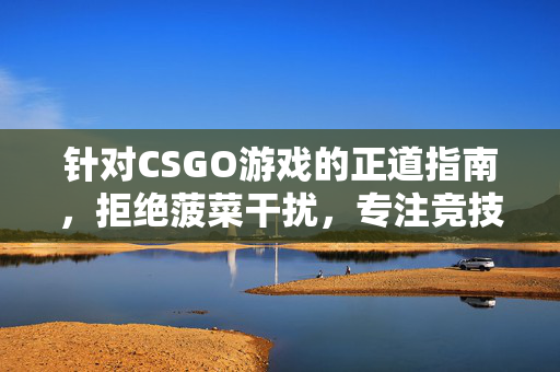 针对CSGO游戏的正道指南，拒绝菠菜干扰，专注竞技规范
