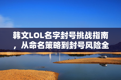 韩文LOL名字封号挑战指南，从命名策略到封号风险全解析
