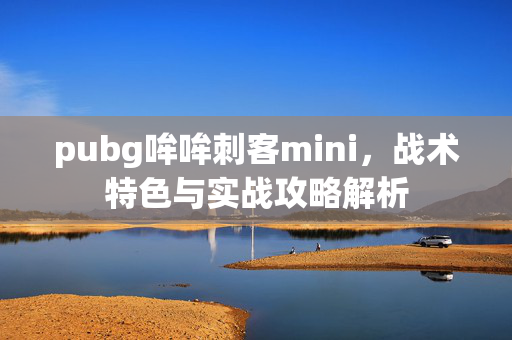 pubg哞哞刺客mini，战术特色与实战攻略解析