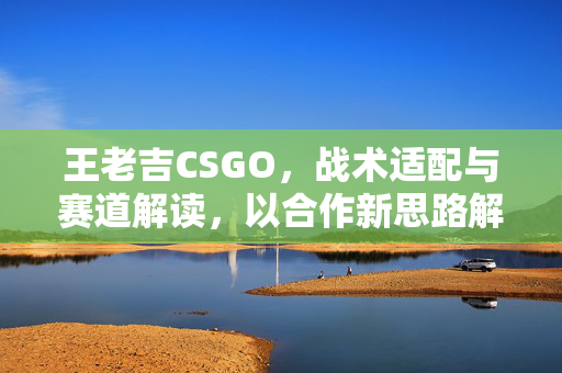王老吉CSGO，战术适配与赛道解读，以合作新思路解析游戏发展