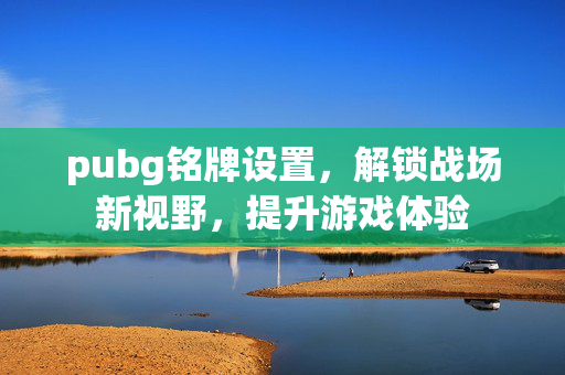 pubg铭牌设置，解锁战场新视野，提升游戏体验