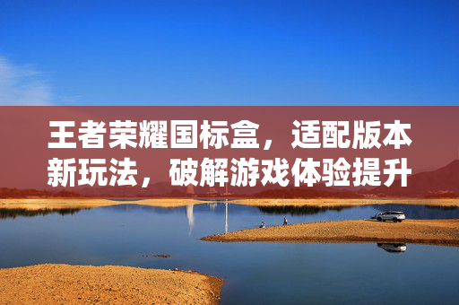王者荣耀国标盒，适配版本新玩法，破解游戏体验提升关键