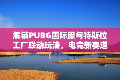 解锁PUBG国际服与特斯拉工厂联动玩法，电竞新赛道，谁将定义全球博弈？