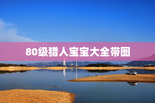 80级猎人宝宝大全带图