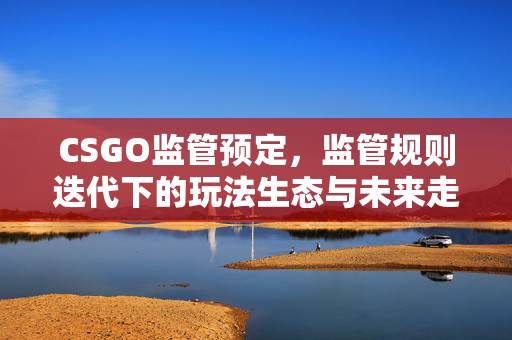 CSGO监管预定，监管规则迭代下的玩法生态与未来走向