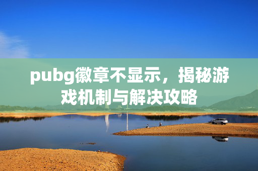 pubg徽章不显示，揭秘游戏机制与解决攻略