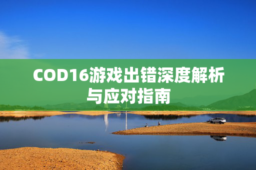 COD16游戏出错深度解析与应对指南