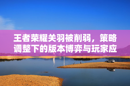 王者荣耀关羽被削弱，策略调整下的版本博弈与玩家应对全解析