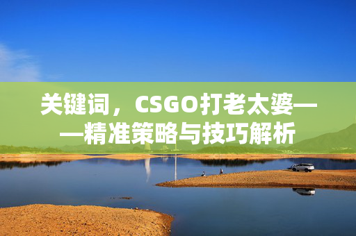 关键词，CSGO打老太婆——精准策略与技巧解析