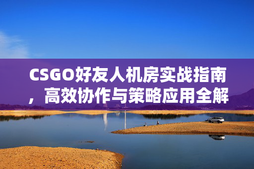 CSGO好友人机房实战指南，高效协作与策略应用全解析