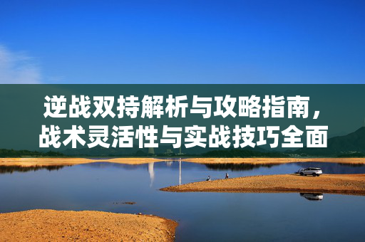 逆战双持解析与攻略指南，战术灵活性与实战技巧全面掌握