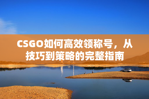 CSGO如何高效领称号，从技巧到策略的完整指南
