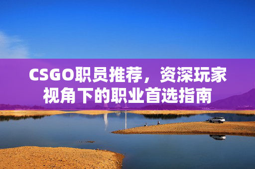 CSGO职员推荐，资深玩家视角下的职业首选指南