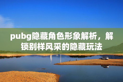 pubg隐藏角色形象解析，解锁别样风采的隐藏玩法