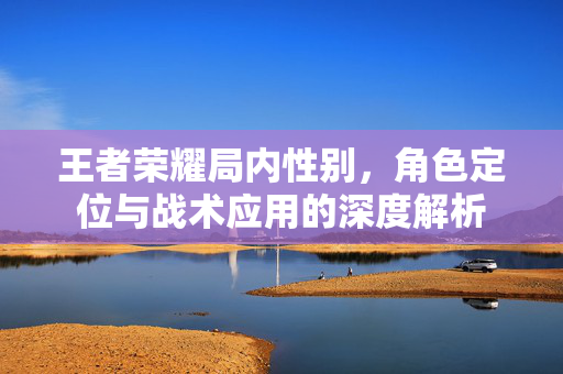 王者荣耀局内性别，角色定位与战术应用的深度解析