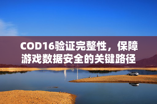 COD16验证完整性，保障游戏数据安全的关键路径