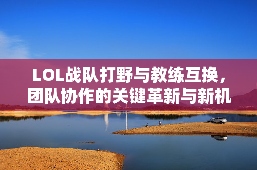 LOL战队打野与教练互换，团队协作的关键革新与新机遇