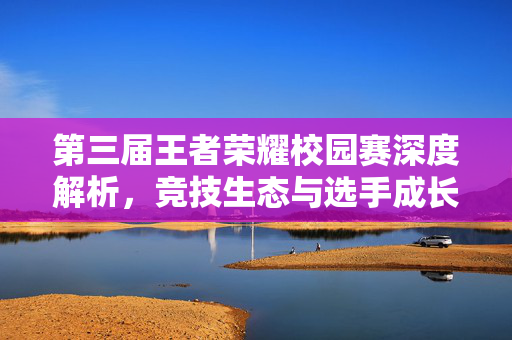 第三届王者荣耀校园赛深度解析，竞技生态与选手成长全攻略