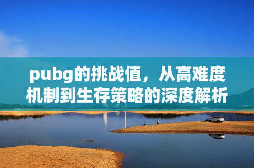pubg的挑战值，从高难度机制到生存策略的深度解析