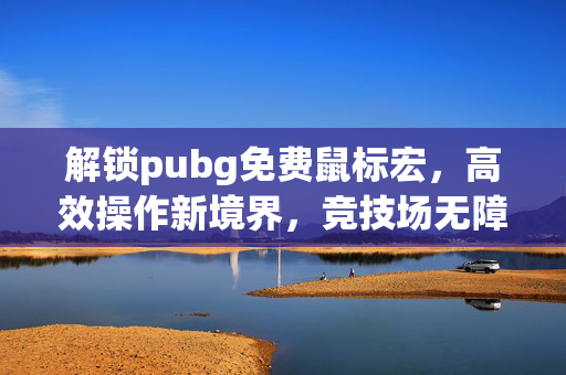解锁pubg免费鼠标宏，高效操作新境界，竞技场无障碍通关