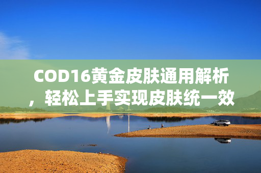 COD16黄金皮肤通用解析，轻松上手实现皮肤统一效果