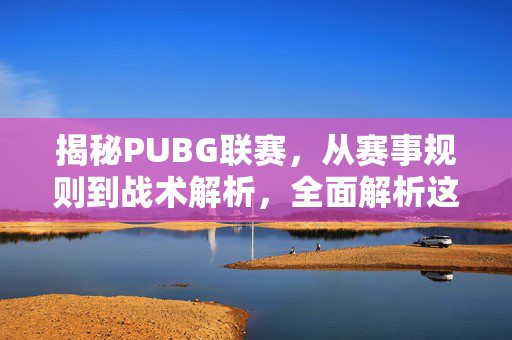揭秘PUBG联赛，从赛事规则到战术解析，全面解析这项顶级游戏竞技赛事