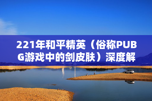 221年和平精英（俗称PUBG游戏中的剑皮肤）深度解析与攻略指南
