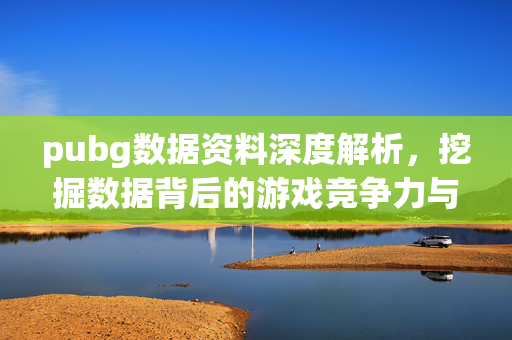 pubg数据资料深度解析，挖掘数据背后的游戏竞争力与策略机遇