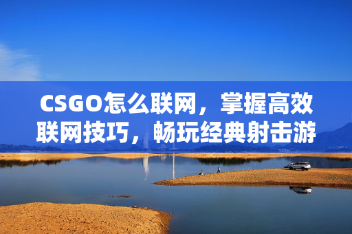 CSGO怎么联网，掌握高效联网技巧，畅玩经典射击游戏
