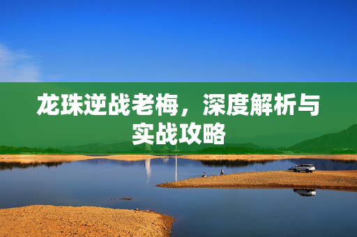 龙珠逆战老梅，深度解析与实战攻略