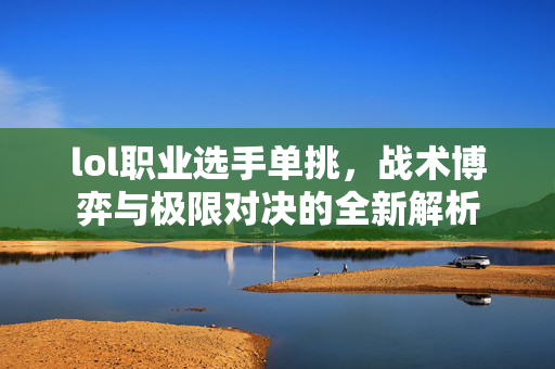 lol职业选手单挑，战术博弈与极限对决的全新解析