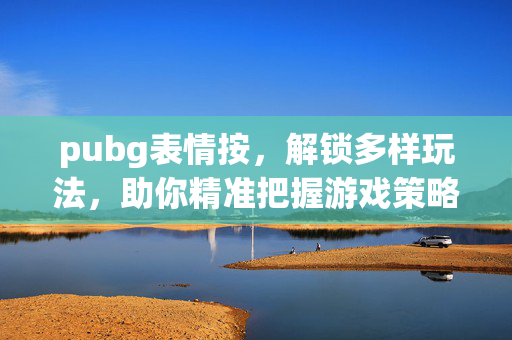 pubg表情按，解锁多样玩法，助你精准把握游戏策略