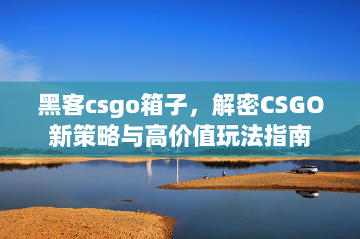 黑客csgo箱子，解密CSGO新策略与高价值玩法指南