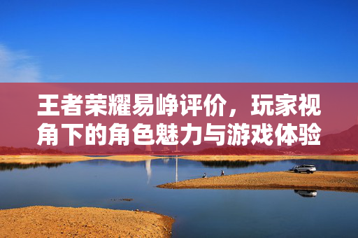 王者荣耀易峥评价，玩家视角下的角色魅力与游戏体验洞察