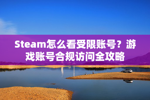Steam怎么看受限账号？游戏账号合规访问全攻略