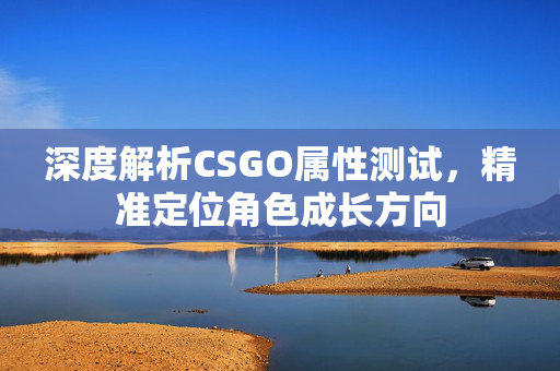 深度解析CSGO属性测试，精准定位角色成长方向