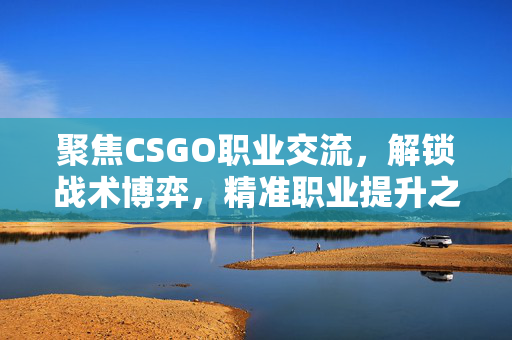 聚焦CSGO职业交流，解锁战术博弈，精准职业提升之路