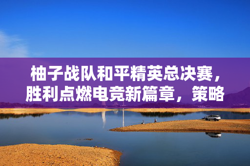 柚子战队和平精英总决赛，胜利点燃电竞新篇章，策略与技巧再添分水岭