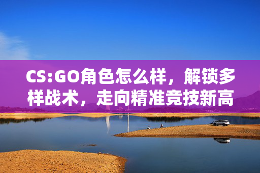 CS:GO角色怎么样，解锁多样战术，走向精准竞技新高度