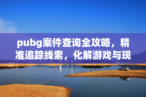 pubg案件查询全攻略，精准追踪线索，化解游戏与现实关联风险