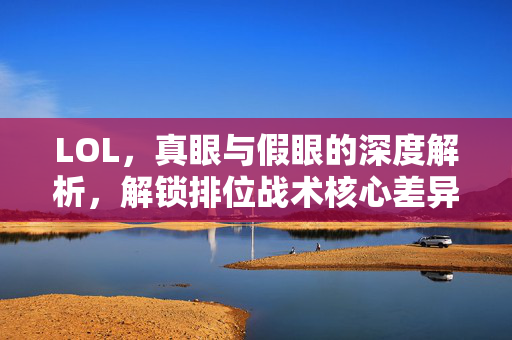 LOL，真眼与假眼的深度解析，解锁排位战术核心差异