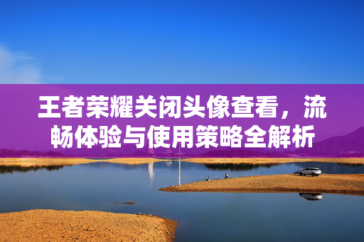 王者荣耀关闭头像查看，流畅体验与使用策略全解析