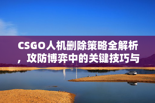 CSGO人机删除策略全解析，攻防博弈中的关键技巧与实战指南