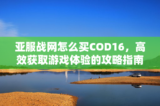 亚服战网怎么买COD16，高效获取游戏体验的攻略指南