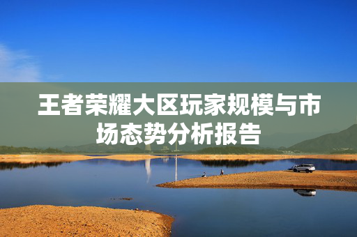 王者荣耀大区玩家规模与市场态势分析报告